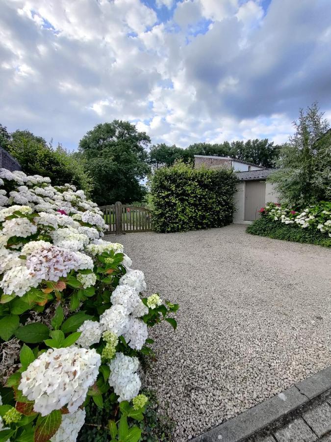 De Lucarne Villa Zottegem Exteriör bild