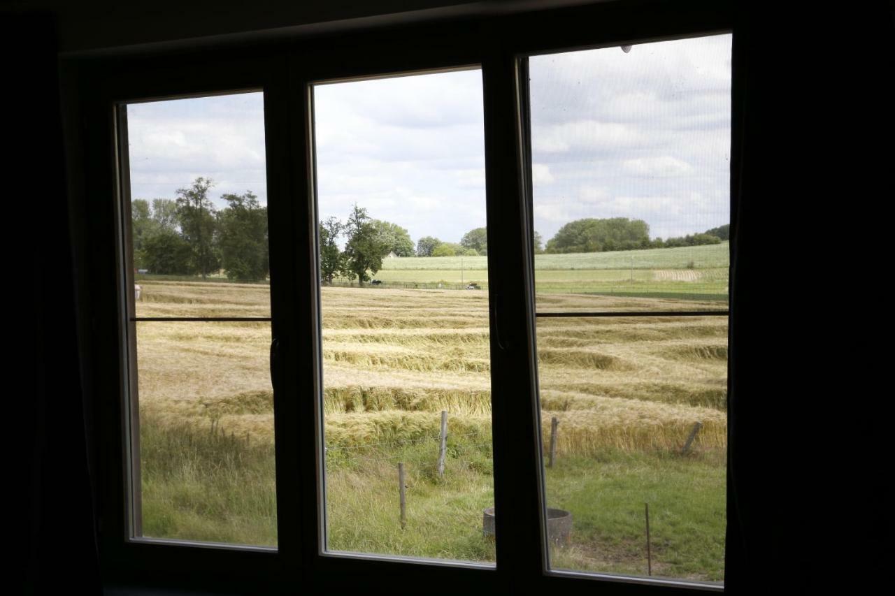 De Lucarne Villa Zottegem Exteriör bild